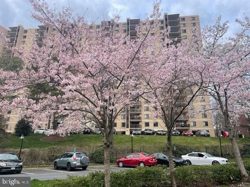 apt-512-309 Yoakum Pkwy, ALEXANDRIA, VA, 22304-3930 | Card Image