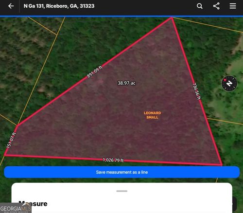 N/S HWY 131 Lecounte Rd Sw, Townsend, GA, 31331 | Card Image