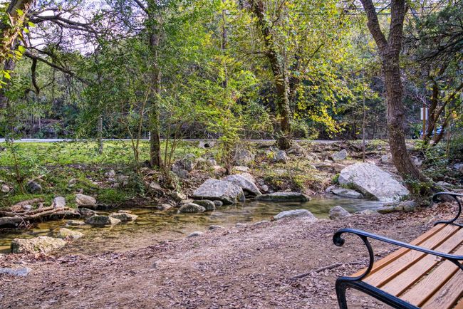 View of yard with a view of trees | Image 26