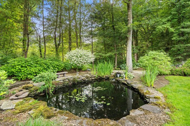 Relax by the pond | Image 32