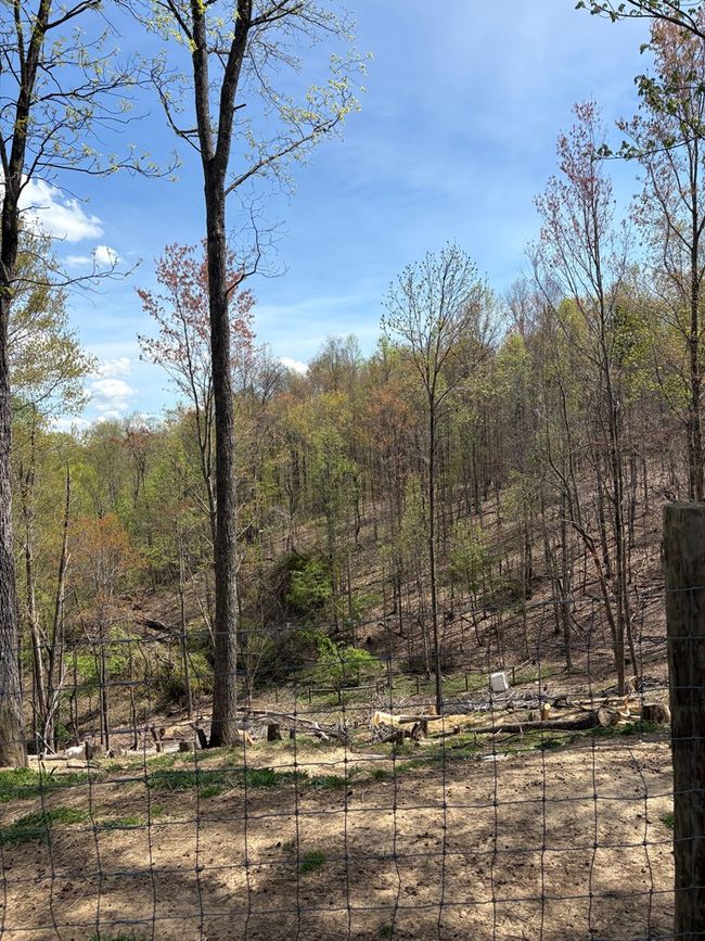 3327 Horton Ridge Rd, House other with 3 bedrooms, 2 bathrooms and null parking in Swords Creek VA | Image 7
