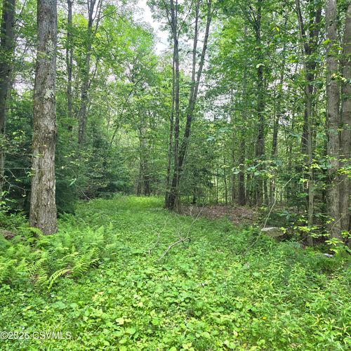 LOT 32 Hilary Ln, Dushore, PA, 18614 | Card Image