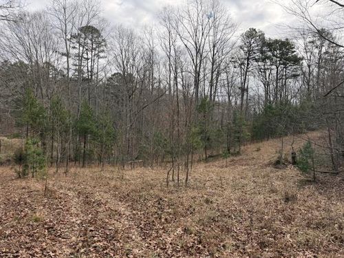 0 H Cook Dr, Morganton, GA, 30560 | Card Image