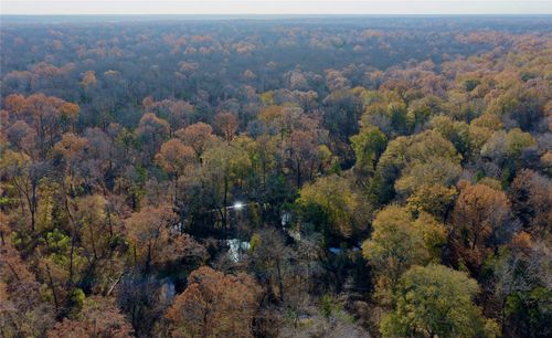 TBD Farm Road 197, Arthur City, TX, 75411 | Card Image