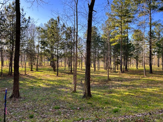 4 Hiwassee Rd, Home with 0 bedrooms, 0 bathrooms and null parking in Calhoun TN | Image 7