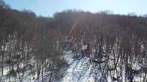 440 Kegley Trestle Rd, Princeton, WV, 24740-9205 | Card Image