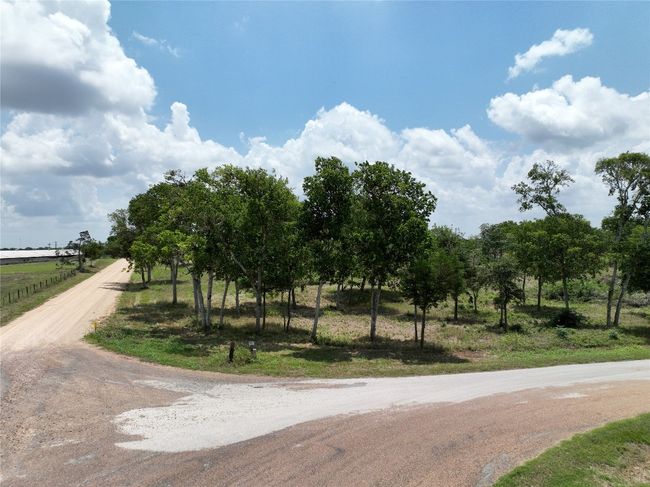 0000 Mcelroy Ln, Home with 0 bedrooms, 0 bathrooms and null parking in New Ulm TX | Image 10