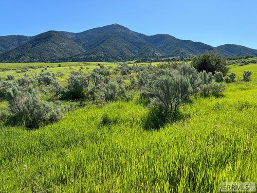L15B4 Sumac Loop, Swan Valley, ID, 83449 | Card Image