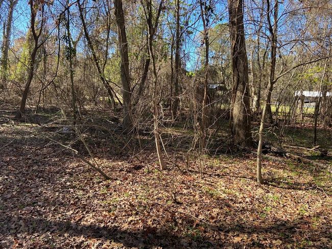 1702 Bembridge Dr, Home with 0 bedrooms, 0 bathrooms and null parking in Spring TX | Image 11