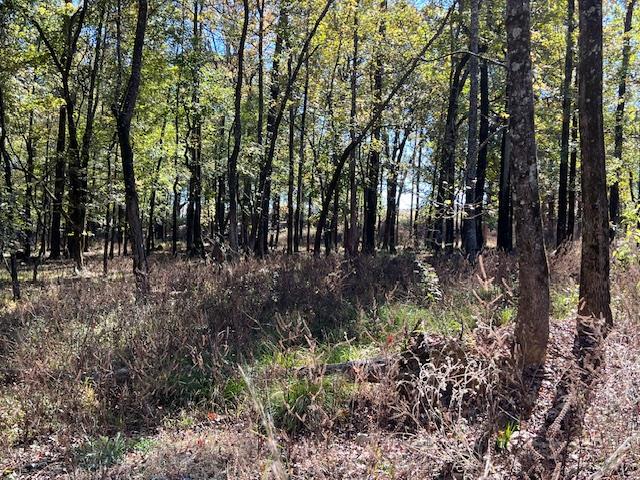 Land in Broken Bow