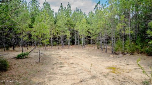 0000 Elijah Graham Rd, Noxapater, MS, 39346 | Card Image