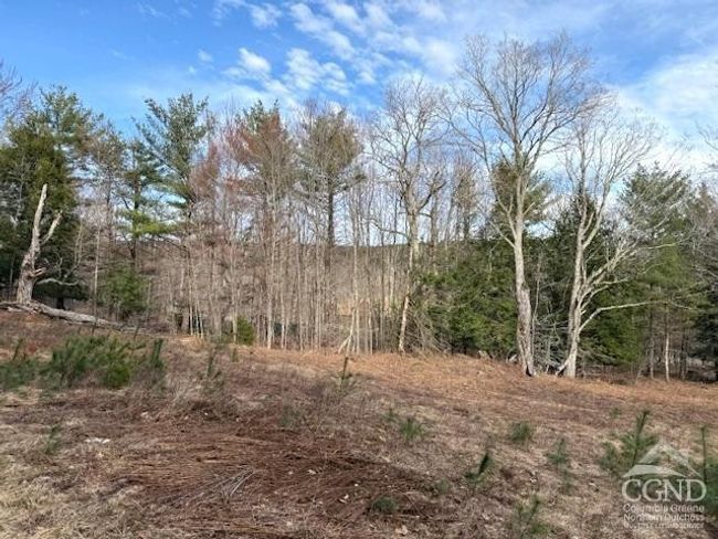 0 Campbell Rd, Home with 0 bedrooms, 0 bathrooms and null parking in Windham NY | Image 18