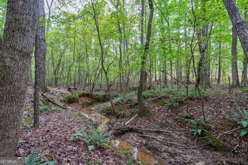 0 Lower Wirebridge Rd, Stephens, GA, 30667 | Card Image