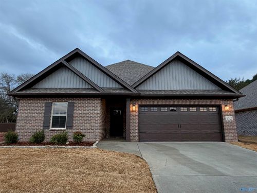 207 Maddie Mae Ln, Toney, AL, 35773-4008 | Card Image