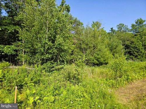 0 Main St, Winburne, PA, 16879 | Card Image