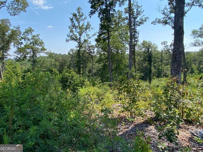 0 Woodstone Trail, Home with 0 bedrooms, 0 bathrooms and null parking in Ellijay GA | Image 21