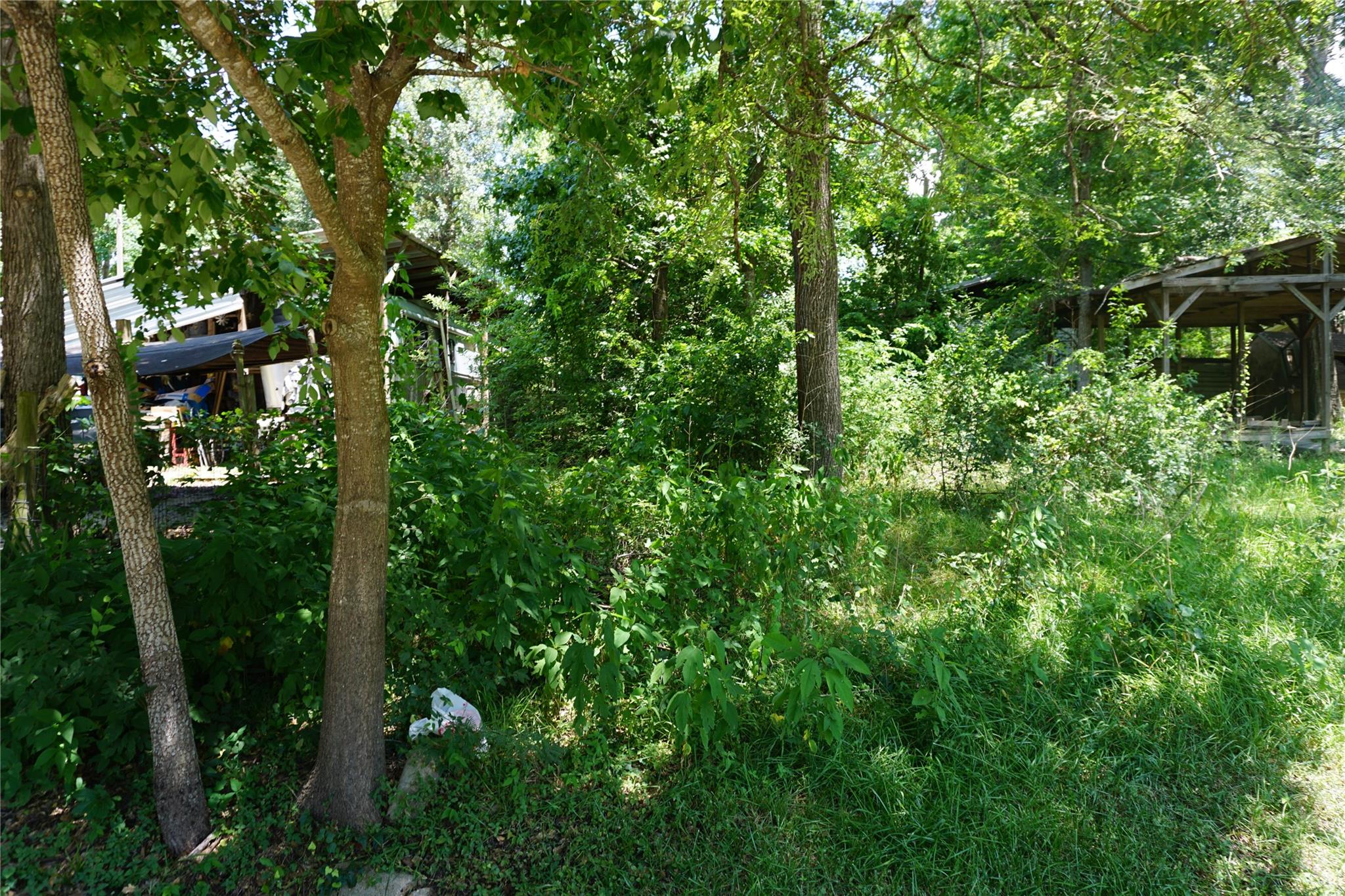 Land in Willis 4