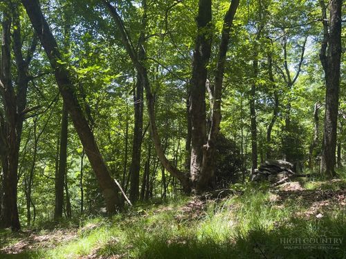 TBD Grandview Dr. Extension, Boone, NC, 28607 | Card Image