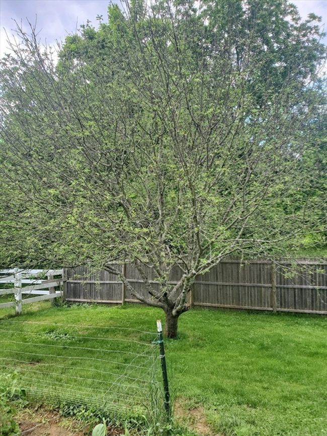 111 Northwest Rd, House other with 5 bedrooms, 4 bathrooms and 8 parking in Spencer MA | Image 38