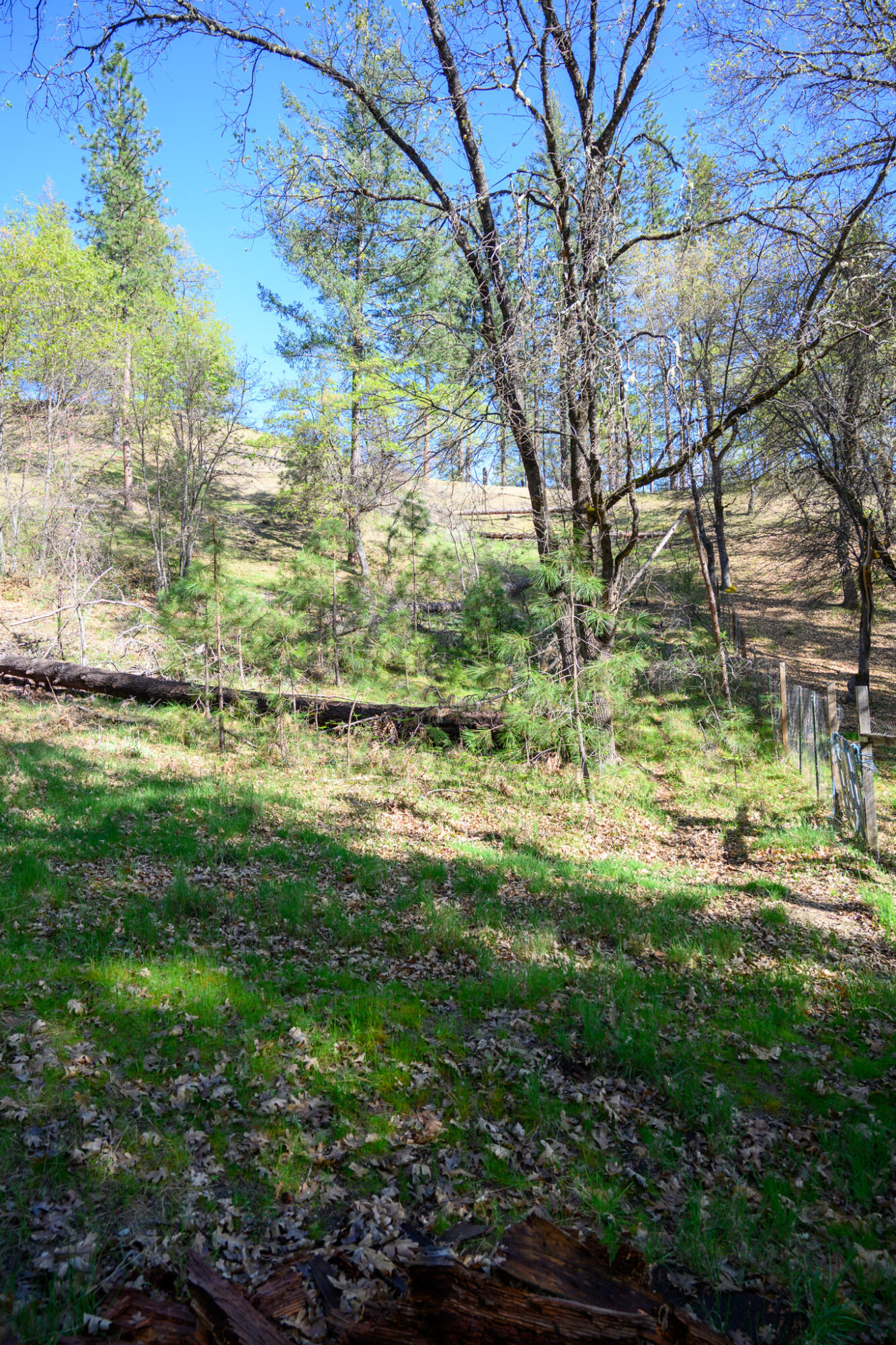 Land in Lewiston 3