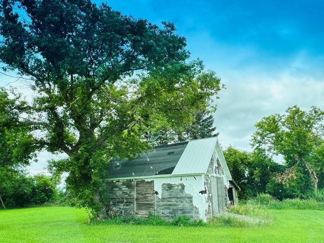 Shed | Image 35