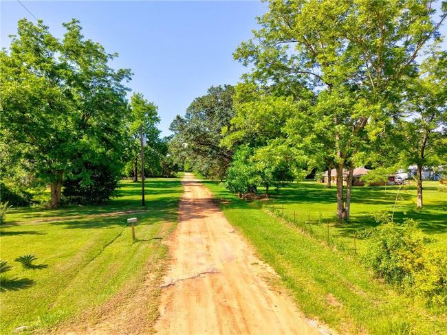 View of dirt / gravel road with view of scattered trees | Image 4