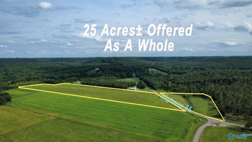 25 +/- Acres Highway 55 E, Falkville, AL, 35622 | Card Image