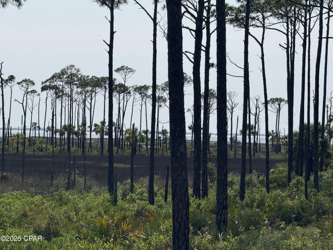 Lot 6 E Highway 98, Home with 0 bedrooms, 0 bathrooms and null parking in Port St. Joe FL | Image 8