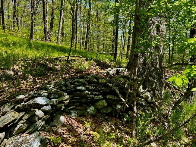 Stonewall | Image 17