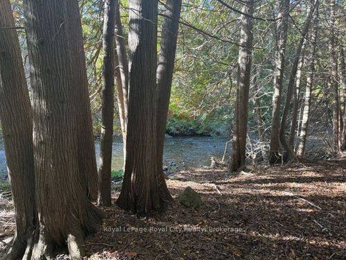 0 Queen St E, Alton, ON, L7K0C2 | Card Image