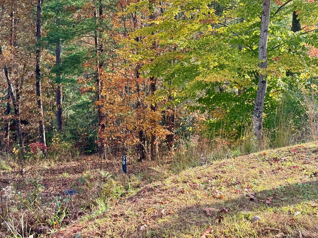 Land in Cullowhee 5