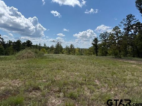 000 Old Tyler Rd, Whitehouse, TX, 75791 | Card Image