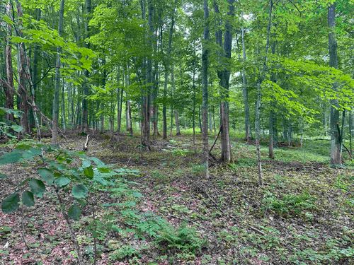 11599 S Tower Rd, Maple City, MI, 49664-9793 | Card Image