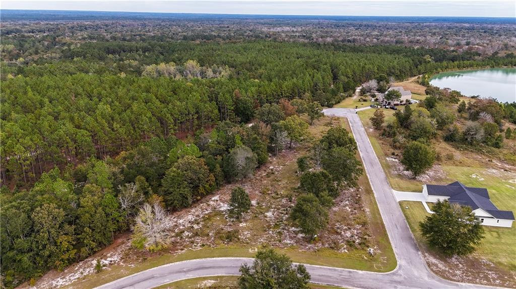 Land in Jesup 2