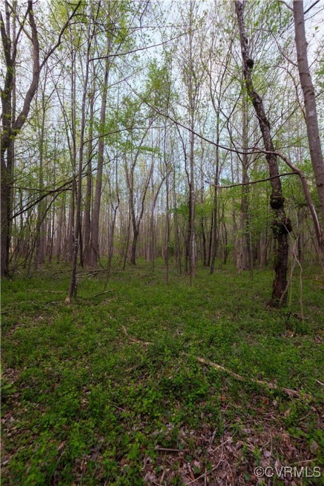 View of landscape with a view of trees | Image 15