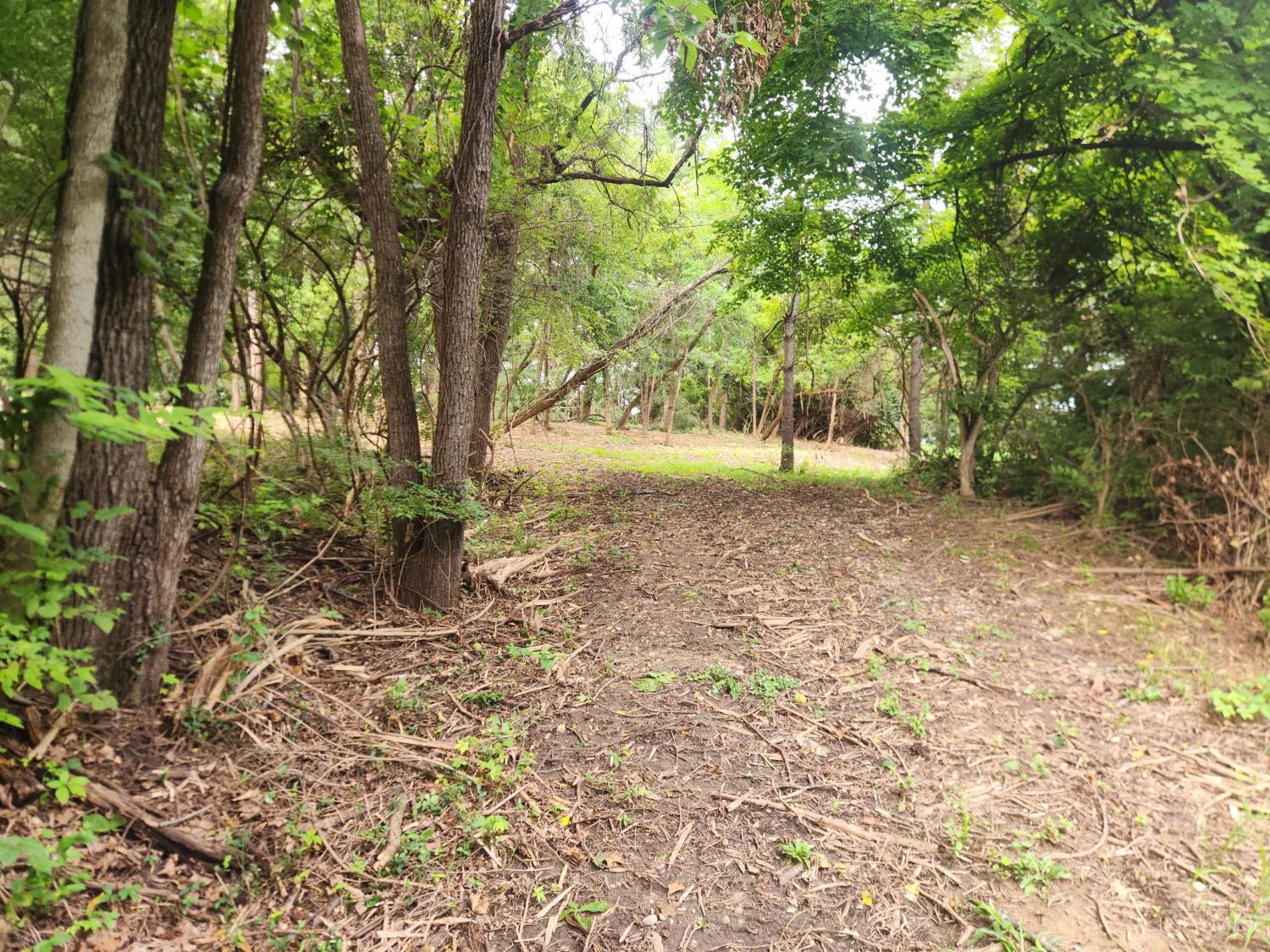 Land in Anderson Twp 2