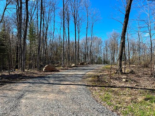 1199 Cedar Lake Rd, Wilberforce, ON, K0L3C0 | Card Image