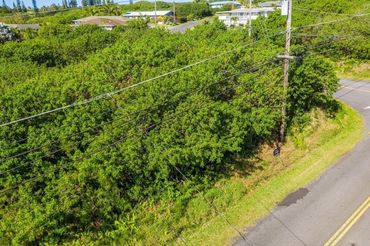 Land in Naalehu 2