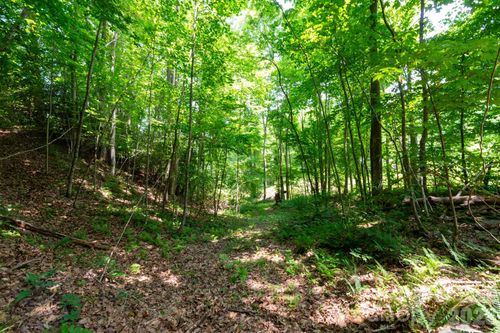 4-### Board Tree Road, Marshall, NC, 28753 | Card Image