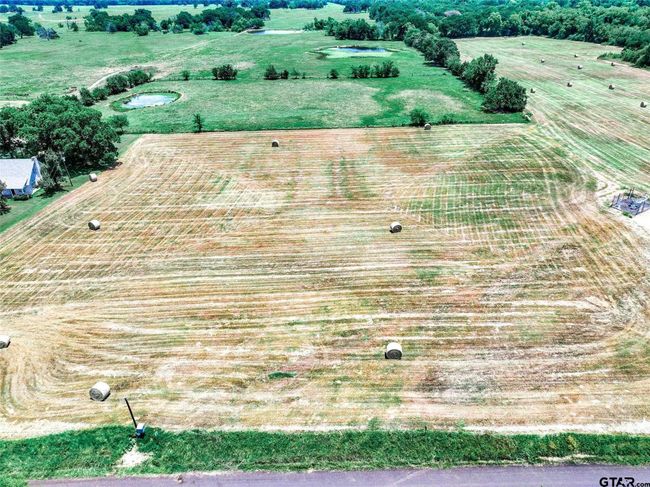 20 Acres County Road 3533, Home with 0 bedrooms, 0 bathrooms and null parking in Saltillo TX | Image 6