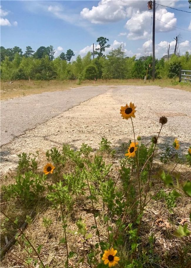 The property is located at the end of a cul-de-sac street. | Image 8