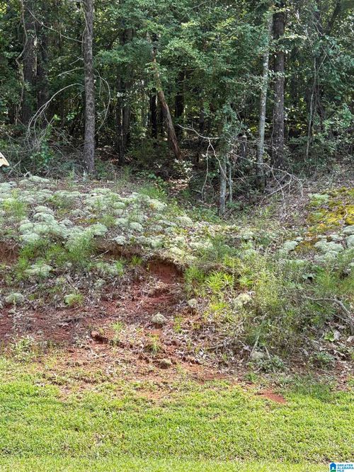 11-2242 Westwood Dr, Alexandria, AL, 36250-5371 | Card Image