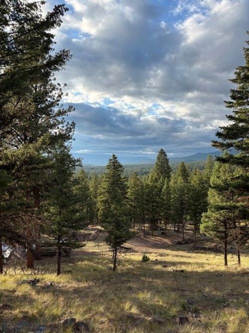 451 Crimson Peak Ct, Seeley Lake, MT, 59868 | Card Image