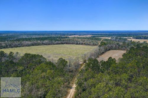 Tract 3 Reddish Rd, Odum, GA, 31555-6598 | Card Image