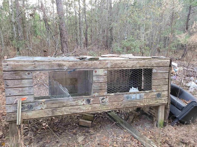 2757 Us Highway 1 N, Home with 0 bedrooms, 0 bathrooms and null parking in swainsboro GA | Image 16
