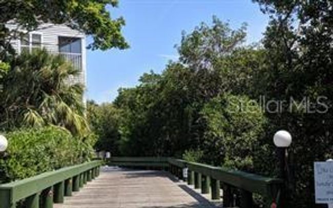 Bridge to the Pool | Image 8