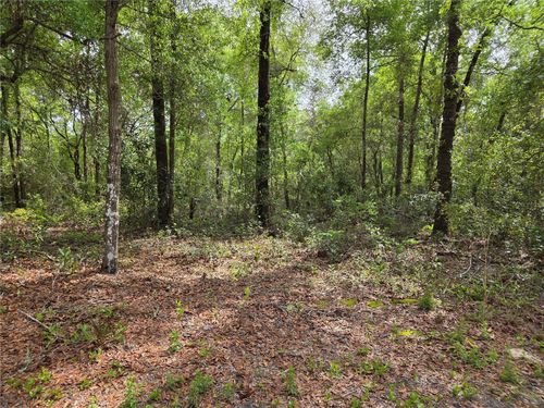 TBD Nw 97th Ct, CHIEFLAND, FL, 32626 | Card Image
