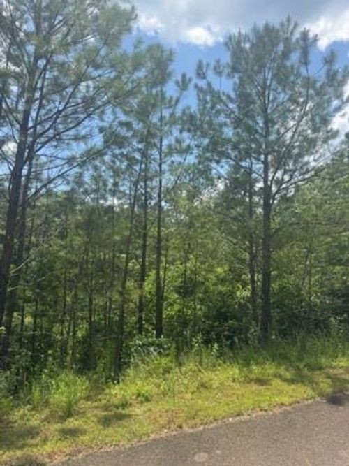 LT 43&44 Reece Mountain Rd, Ellijay, GA, 30536 | Card Image