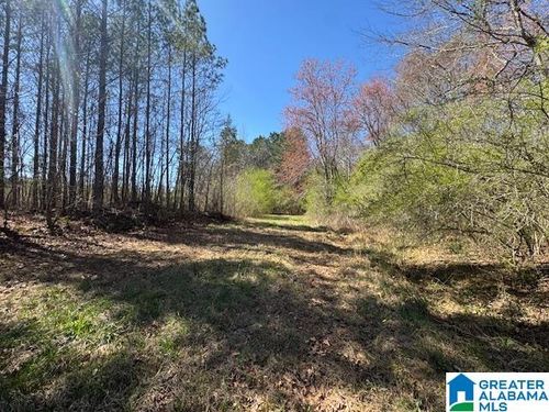 tract-1-40-ac-26315 Highway 77, WADLEY, AL, 36276 | Card Image