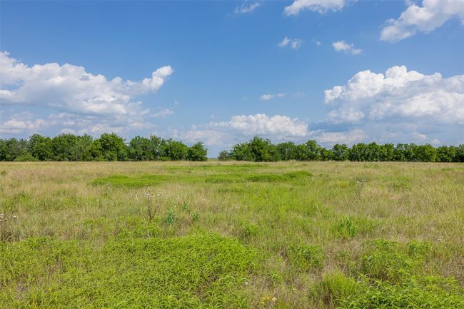 317 Memory Ln, Home with 0 bedrooms, 0 bathrooms and null parking in Burton TX | Image 15